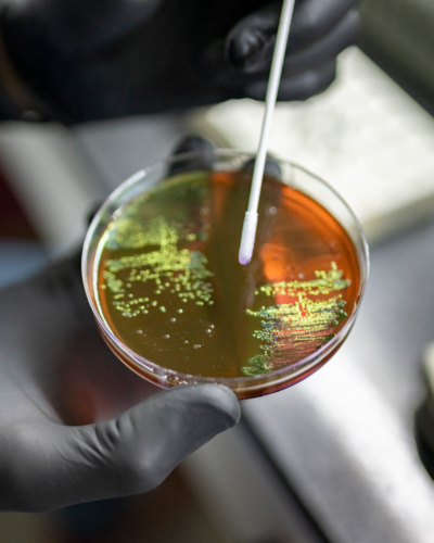 Effective Antimicrobial Agents Effective Antimicrobial Agents