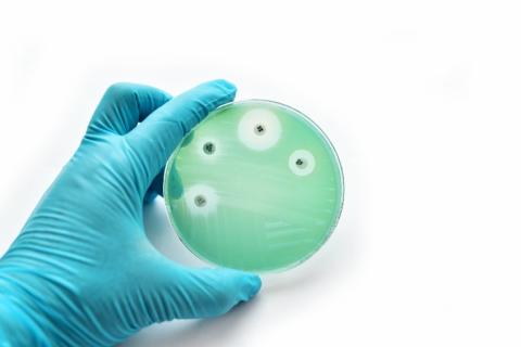 Antimicrobial Resistance Antimicrobial Resistance